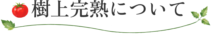 とにかく新鮮